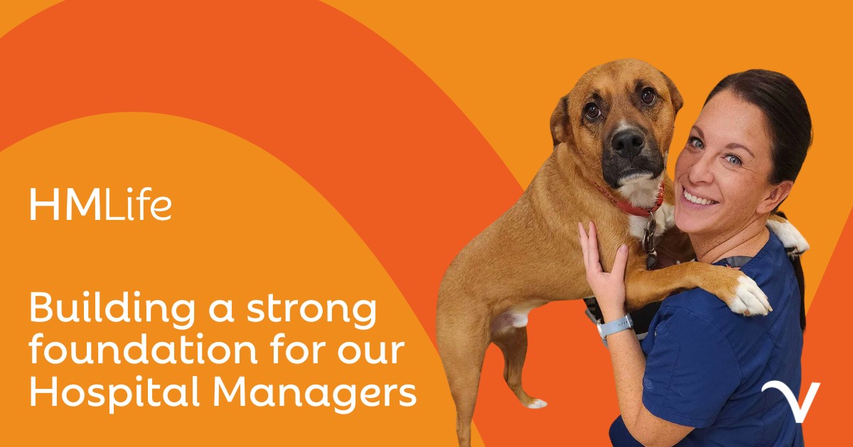 veterinary hospital managers veterinary practice managers